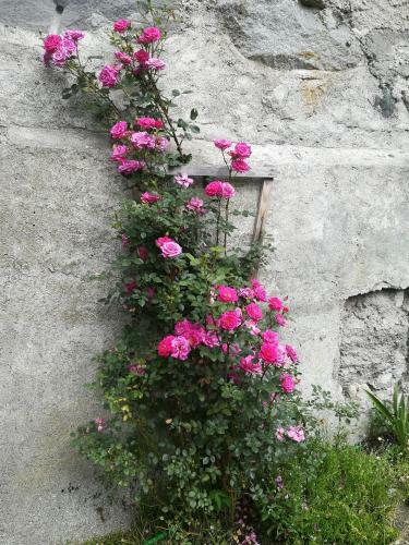 Bed & Breakfast M�hlnerhof Familie Gruber