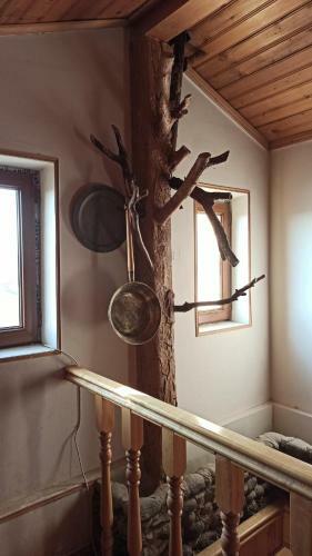 Hostal Family House