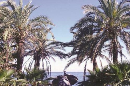 Apartamento Gran Marbella 6
