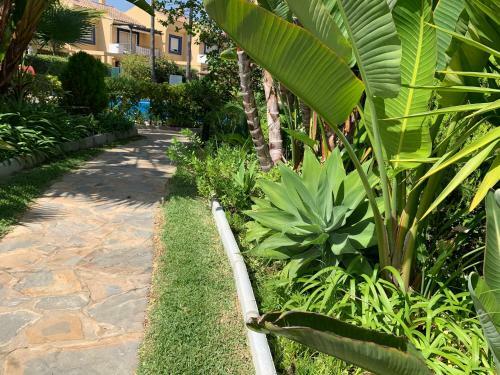 Tgsh Suites Banus