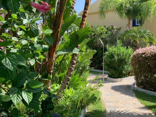 Tgsh Suites Banus
