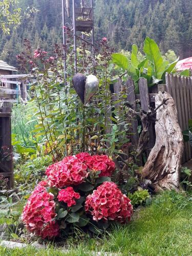 Bed & Breakfast Haus Pinter