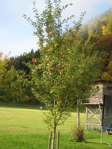 Apartamento Biobauernhof Hauserbauer