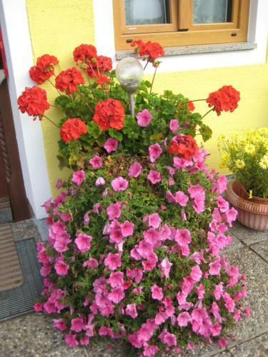 Apartamento Biobauernhof Hauserbauer