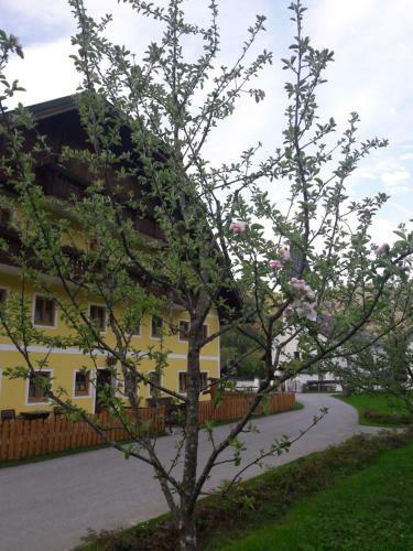 Apartamento Biobauernhof Hauserbauer