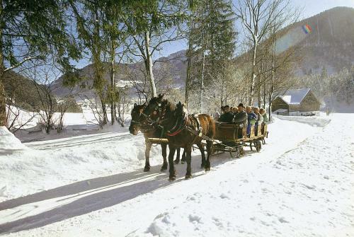 Hostal Ferienhaus Hintersee
