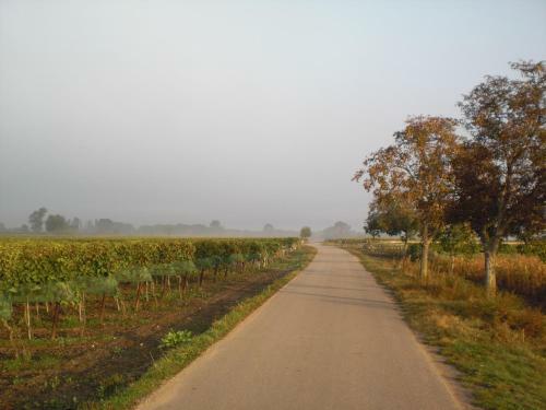 Hostal Weingut & Landhaus Willi Opitz