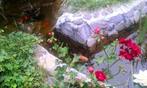 Apartmani Gs ***** Zavidovici