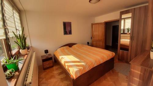 Apartment Aurelio