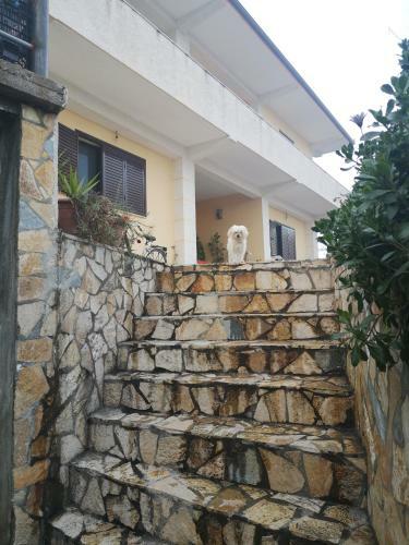 Villa Private House Durres