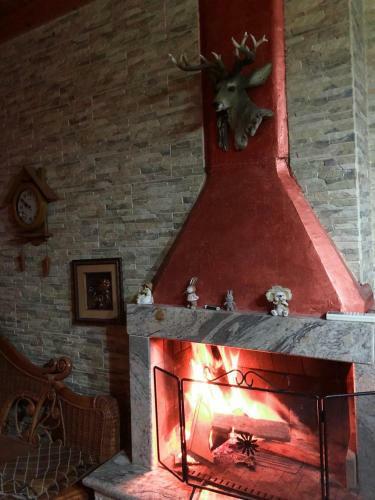 Hostal Don Robert Apartment