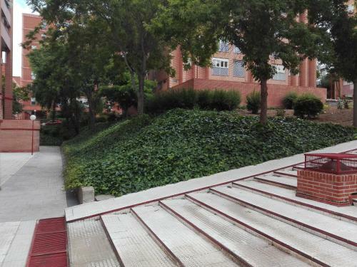 Apartamento Pinar De Chamartin