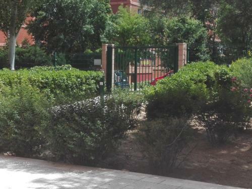 Apartamento Pinar De Chamartin