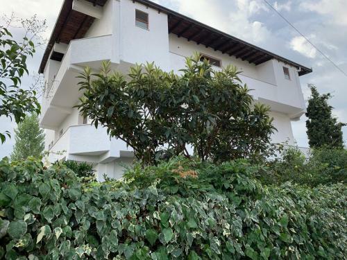 Apartamento Vila Thaci
