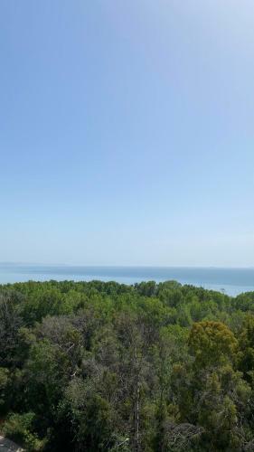 Rooftop Apartments Durres