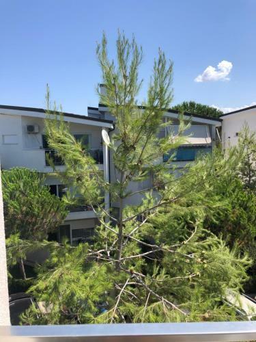 Genti?s Apartment