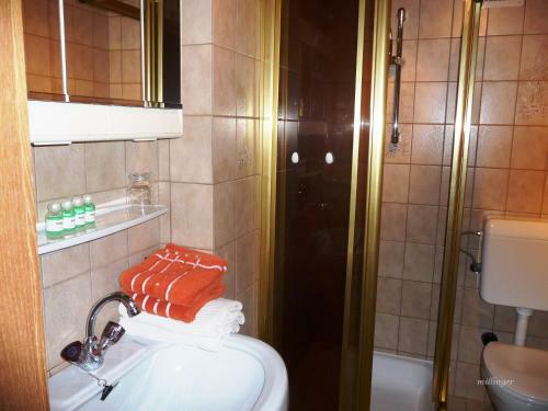 Apartamento Ferienwohnungen Millinger