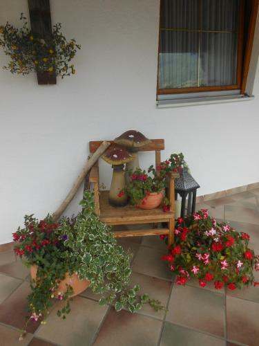 Apartamento Haus Rieder