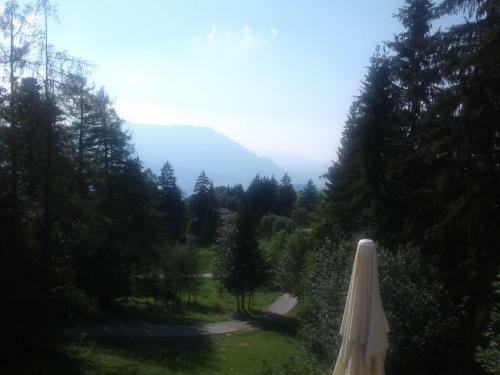 Hostal Halleiner H�tte