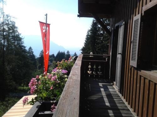 Hostal Halleiner H�tte