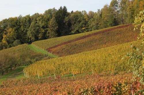 Bed & Breakfast Birkenstub�n - Wirtshaus Am Eckberg