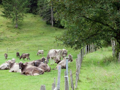 Apartamento Rothorn