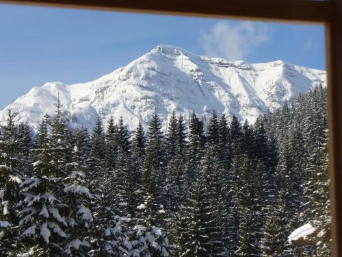 Apartamento Haus Brantner
