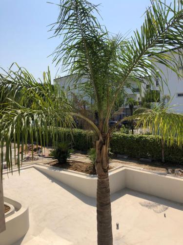 Apartament No 7