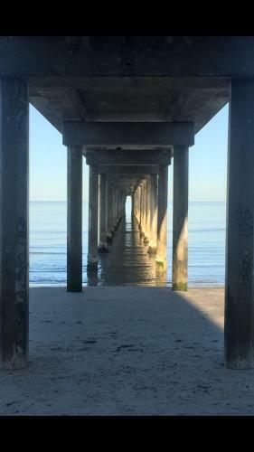 Sea J's, Brighton