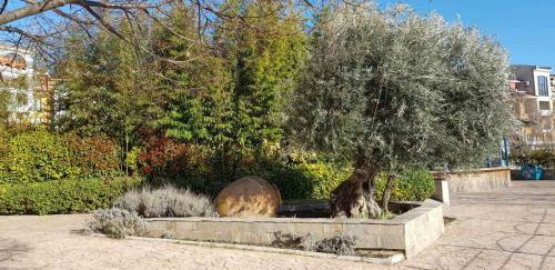 Apartamento Marina Cape Sea View