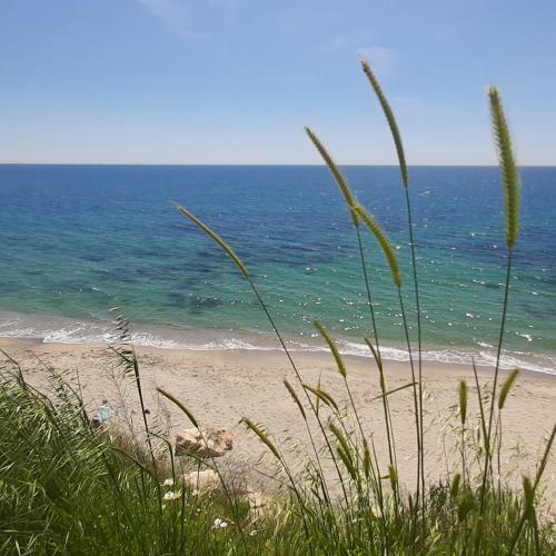 de Luxe Apartment On The Bulgarian Black Sea