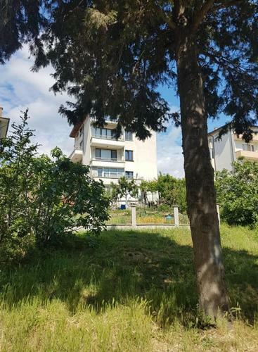 Apartamento ???????? ??????