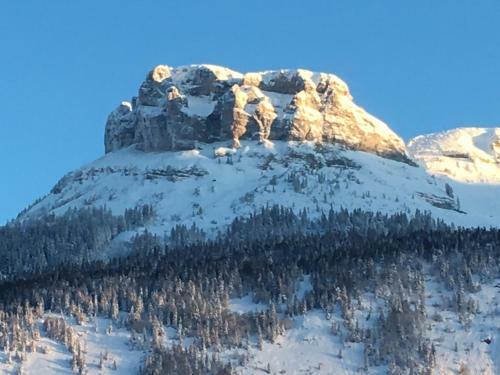 Chalet Altaussee