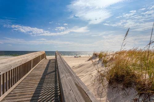 Alabama Sands #11