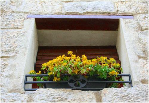 Agroturismo Casa Rural Xixa Landetxea