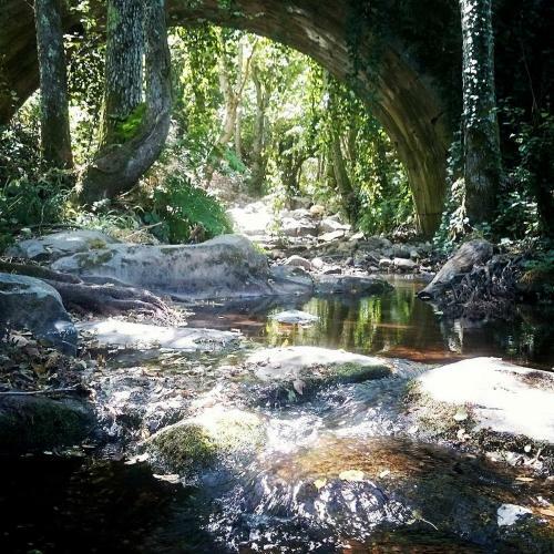 Ca' La Paz - Mogarraz