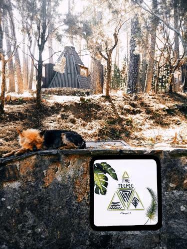 Glamping The Teepee