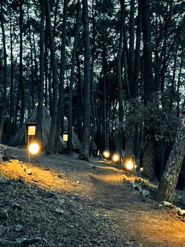 Glamping The Teepee