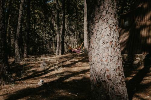 Glamping The Teepee