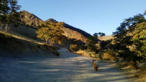 Apartamento Terrazas De Monachil