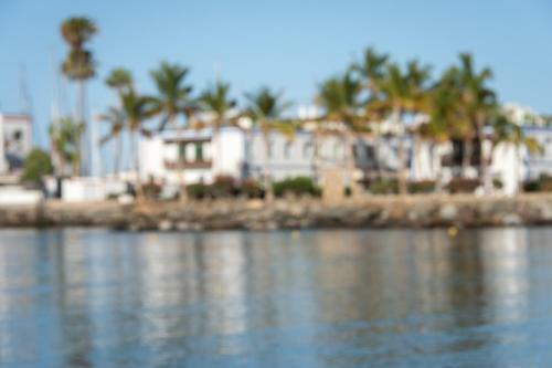 Apartamento Mango -puerto Rico