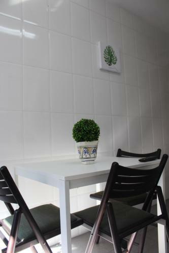 Apartamento El Rac� Al Riu de Montserrat