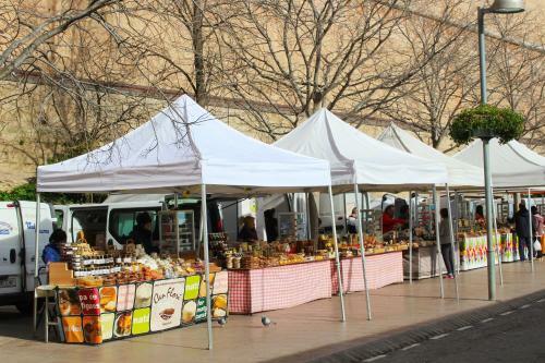 Barcel� Esteve Apartaments