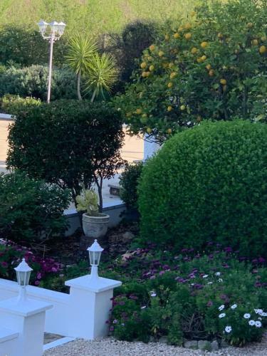 Apartamento Lemon Tree Villa