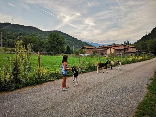 Apartamento Casa Rural Quintana - Montanuy