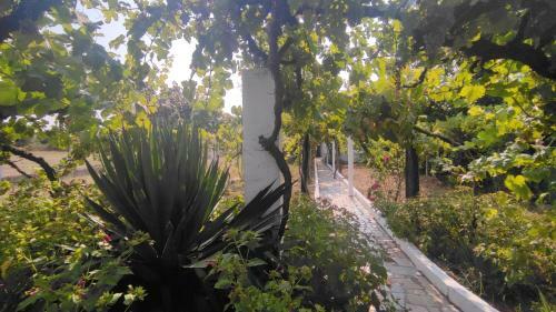 Morin Grey Casa En El Coraz�n de La Ribeira Sacra