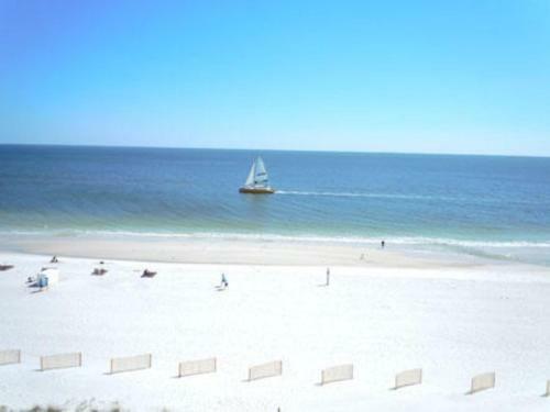 Edgewater By Youngs Suncoast