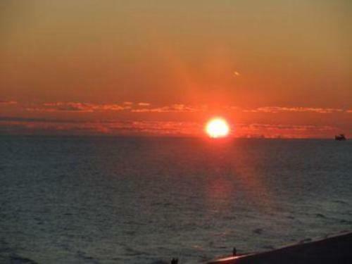 Edgewater By Youngs Suncoast