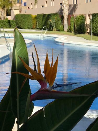 Apartamento Atalaya De Mojacar