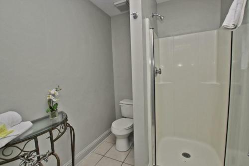 Lighthouse By Youngs Suncoast